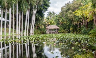 bonnet house museum and gardens