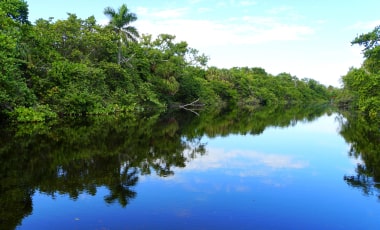 hugh taylor birch state park