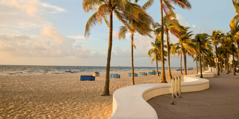 A vibrant beach scene featuring palm trees and a walkway, highlighting Fort Lauderdale Beach close to the airport.