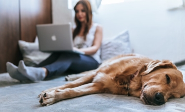 A woman sits on the floor beside a dog, showcasing a cozy pet-friendly atmosphere in a Fort Lauderdale suite.