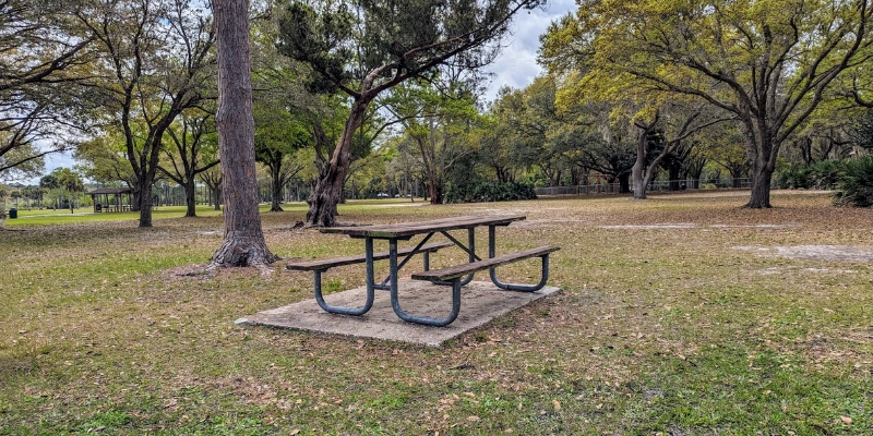 A picnic table surrounded by trees and grass in Hugh Taylor Birch State Park, ideal for outdoor activities in Fort Lauderdale.