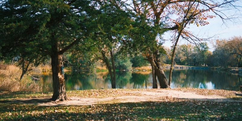 A serene lake view with a park bench framed by vibrant autumn leaves at Snyder Park in Fort Lauderdale.