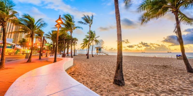 A stunning beach with palm trees and a walkway, as showcased in the Fort Lauderdale Travel Guide for Hollywood Beach & Broadwalk.