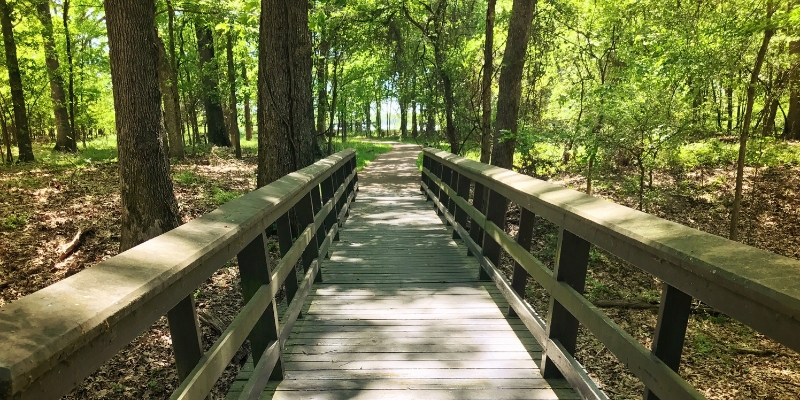 A wooden bridge extends into a vibrant wooded area, showcasing the natural beauty of Hugh Taylor Birch State Park, Fort Lauderdale.